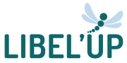 logo-libel-up